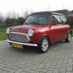 Mini couper